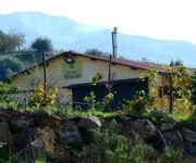 frantoio_20_anni_expo2