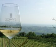 bicchiere_vigneto_SOAVE