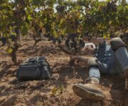 Marco_Simonit_ai_Signori_del_Vino_1