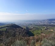 Valpolicella_Inverno_CantinaValpolicellaNegrar