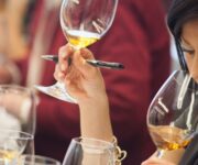 master_class_generico