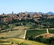vigneti_orvieto