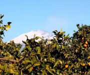 Per_press_tour_svedese