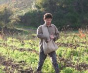 alessandro_dettori_nei_vigneti