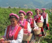 per_art_progetto_vino