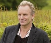 sting