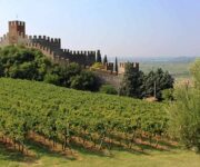 vigneti_soave