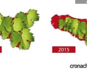 infografica_vigneto_new_-_Copia