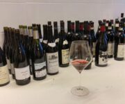 12993598_10154095619069691_7453842334417109711_n