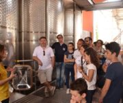 cantine_aperte_2016_73