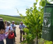 cantine_aperte_turisti1