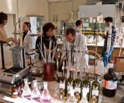 enologi_laboratori
