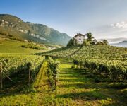 AltoAdige_BassaAtesina