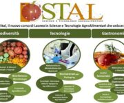 corso_di_laurea