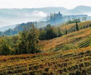 langhe_5