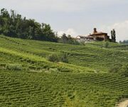 poderi_luigi_einaudi