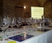 Il_Grande_Verdicchio_Cupramontana