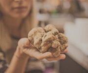 Tartufo_Bianco_dAlba