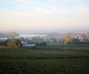 chateau-gaby-vineyards