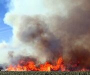 languedoc_lindependant