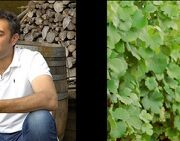 video_wine_spectator