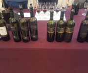 14522024_10211245445919108_720028680_o