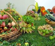 coltivazioni_biologiche