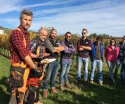 preparatori_dendrochirurgia_3