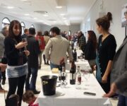 Anteprima_13_febbraio_5