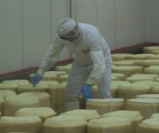 produzione_formaggio