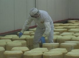 produzione_formaggio