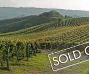 17842485_1870442059907693_1300974862_n