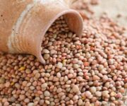 lenticchia_Castelluccio