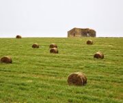 per_art_giovanni_franco