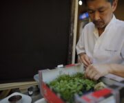 Radici_di_Toscana-Roots_of_Tuscany