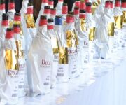 dwwa-2017