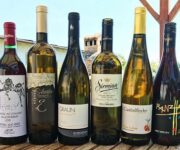 Vini_in_degustazione