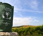 cantine_aperte_generico