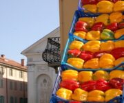 peperoni_fiera_carmagnola_2016_sfondo_chiesa_sagostino_ld