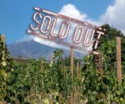 21397708_1947615018857063_1471329411_n