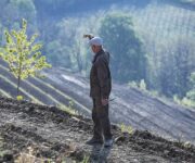 Gravner-Dedno-Josko-3-8_04_17