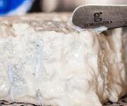 gorgonzola