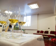 ampelio-bucci-verdicchio_3