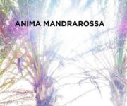 libro_mandrarossa