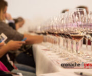 masterclass-vini-umani_10
