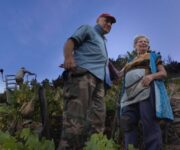 ALBERTO-E-GERMANA-VENDEMMIA