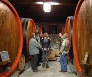 Cantine_Aperte_San_Martino