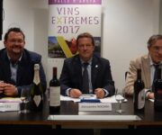 Relatori_conferenza_stampa_Vin-extremes_Milano_161117