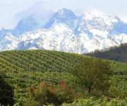 vigneti_valle_daosta