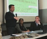 WhatsApp_Image_2017-12-28_at_17_02_10